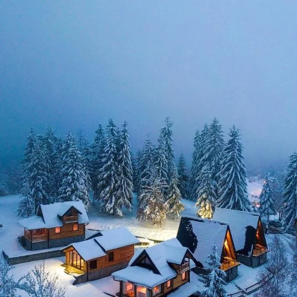 Zlatar Resort & SPA, hotel v destinaci Nova Varoš