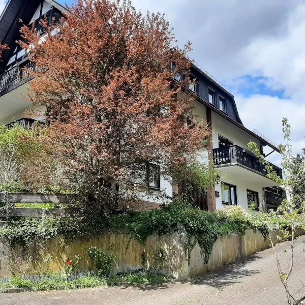 Ferienwohnung Waldblick, hotel v destinaci Hallenberg
