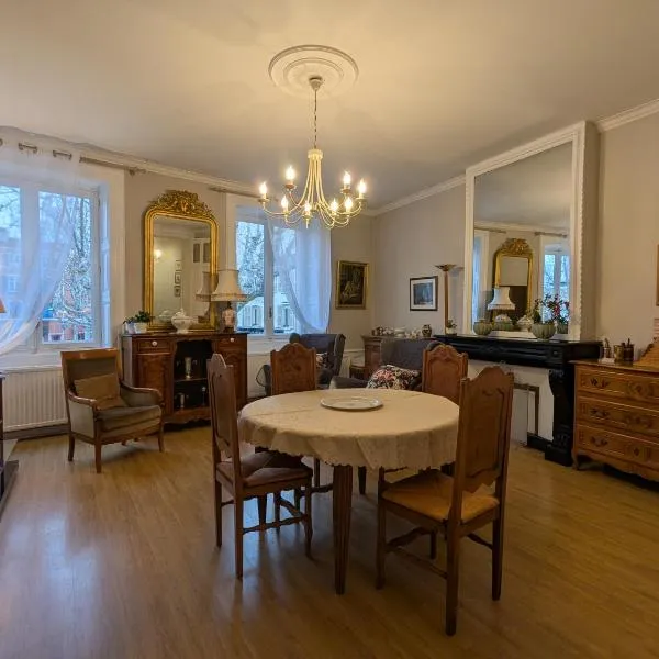 Grand appartement Place du marché, hotel v destinácii Roanne