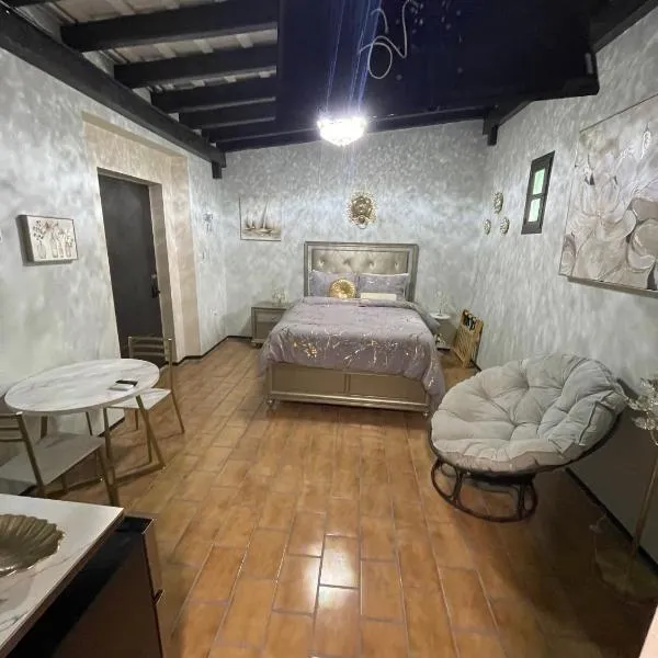 The Suites & Vintage Apartment at Casa Of Essence in heart of Old San Juan, hotel v destinaci San Juan