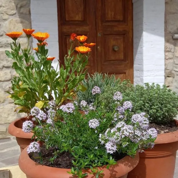 Artemilland B&B, hotel v destinaci Burzanella