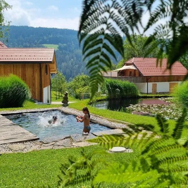Apartma1 pri Adamu, hotel v destinaci Mislinja