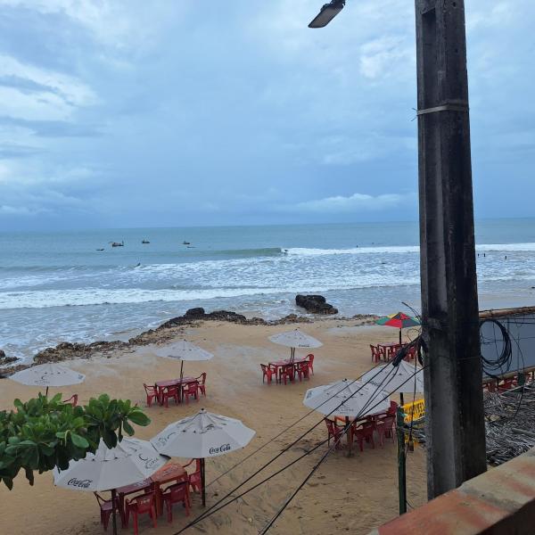 surf - Foto 2