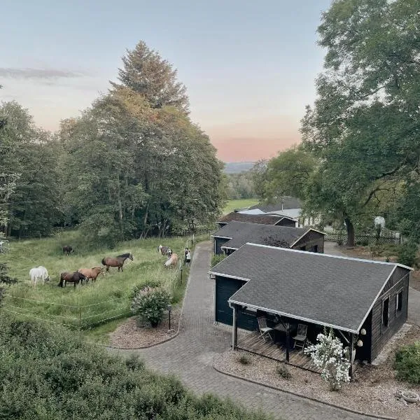 Ludwigslust Vogtland de - Ideal für Naturliebhaber & Fellnasen, hotel v destinaci Mehltheuer
