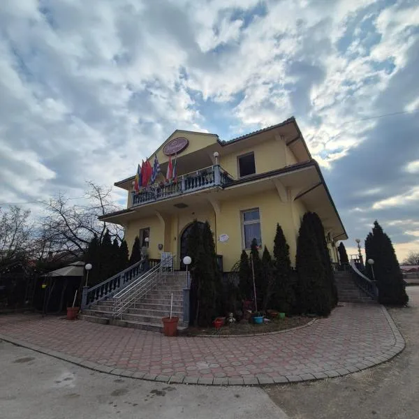 Vila Vienna, hotel in Zaječar
