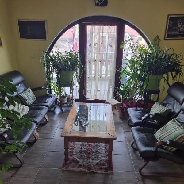 Vila Vienna, hotel v destinaci Zaječar