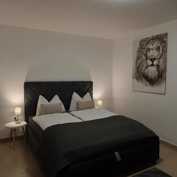Apartman Ćosić, hotel in Kruševica