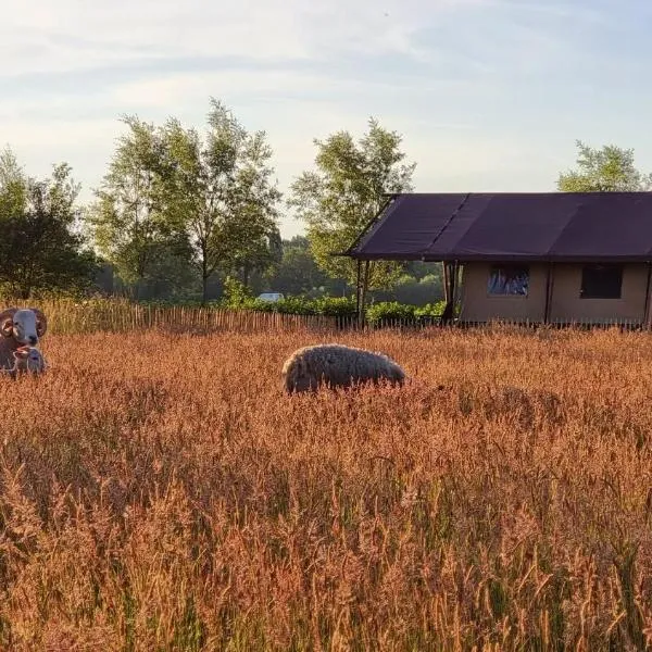 Luxury Safari Tent near Veluwe、Klarenbeekのホテル