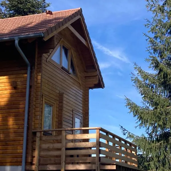 Chalet bois au calme, en lisière de forêt, balcons, sentiers balades Gérardmer & Alsace "Chalet Mon beau sapin", hotel v destinaci Anould