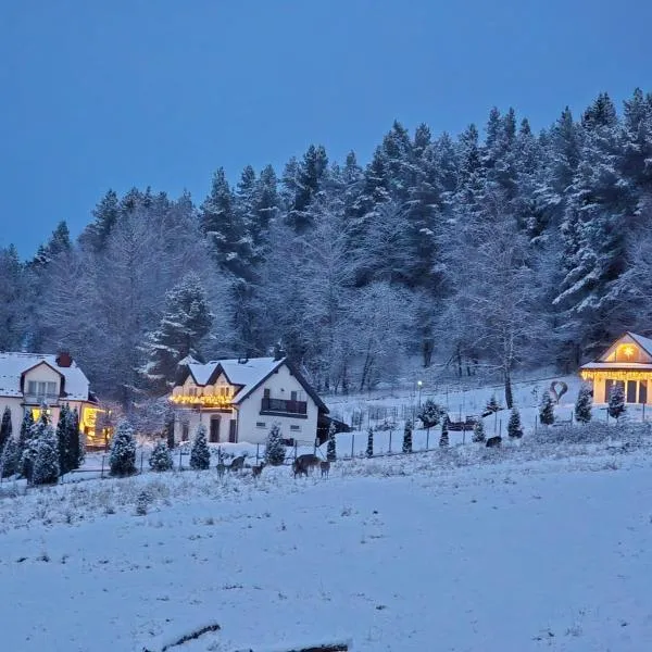 Noclegi Panorama - Domek RUSTIC, Hotel in Ustrzyki Dolne