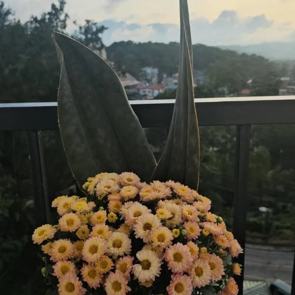 V- 2 BR Unit, hotel in Baguio