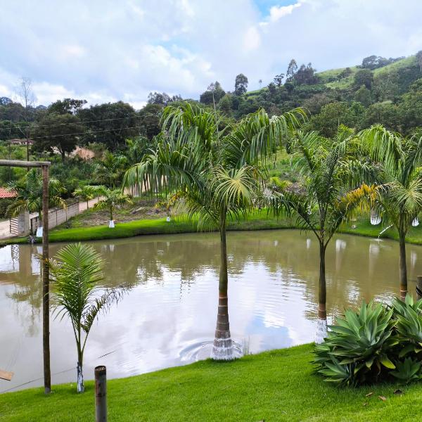 Chácara Sonho Verde - Foto 5