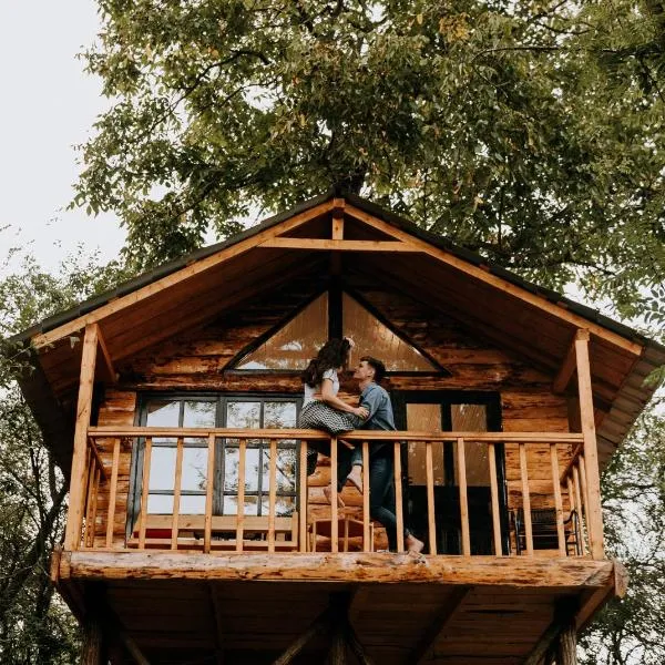 Loft Treehouse, hotel in Peşteana