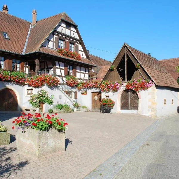 Gîte Vignoble de Cléebourg, hotel v destinaci Cleebourg