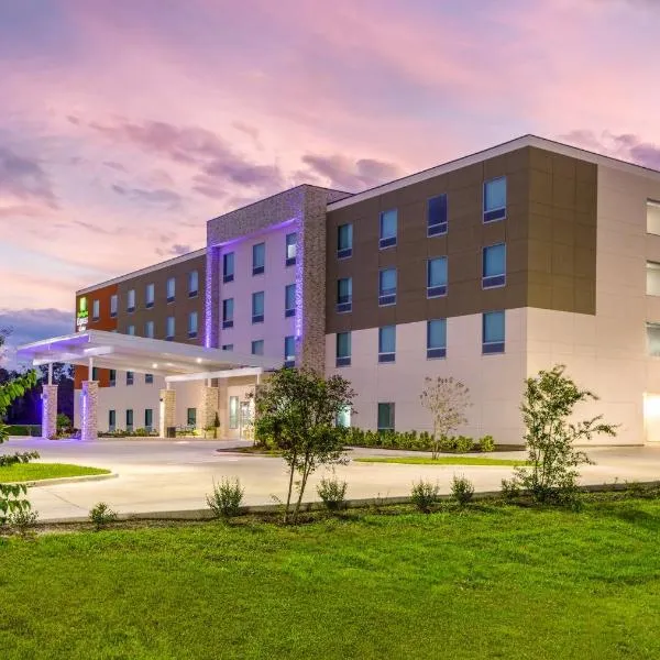 Holiday Inn Express & Suites Macclenny by IHG, hotel in Macclenny