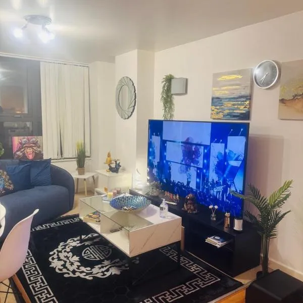 West Street 1 Bedroom Apartment, hotel v destinaci Sheffield