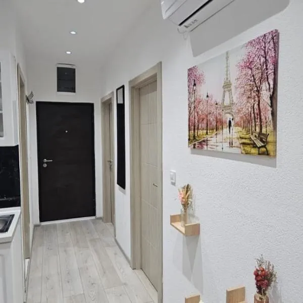 Taksim Apartman 1, hotel v destinaci Igalo