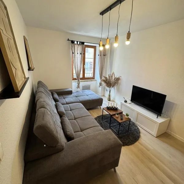 Jolie T2, 55 m, centre ville soultz, hotel en Soultz-Haut-Rhin