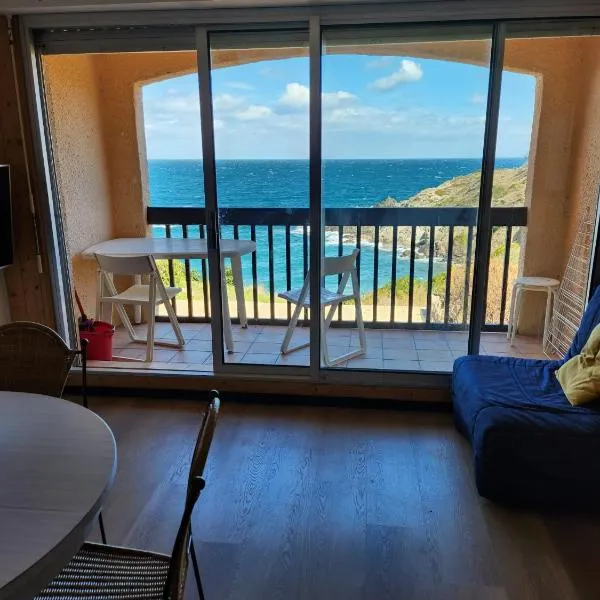 Appartement vue mer Port Vendres Collioure direct crique wifi, hotel v destinácii Port-Vendres