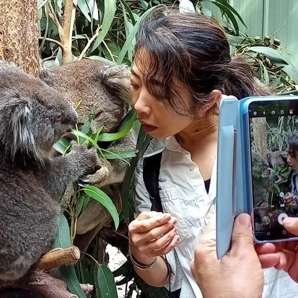 Fauna Australia Wildlife Experience, hotel v destinaci Lavers Hill