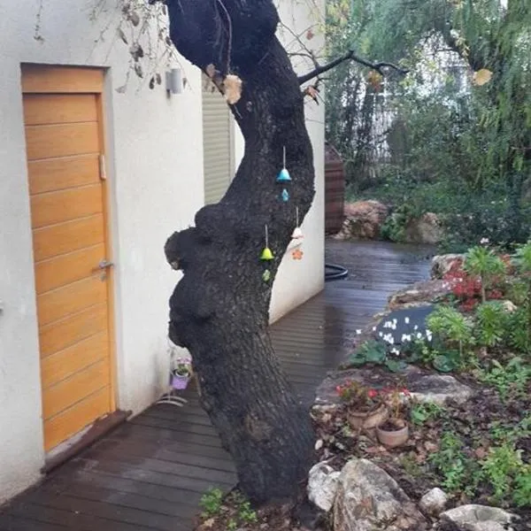 Oak Shade, hotel Bet Leẖem HaGelilitben