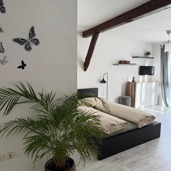 Ferienwohnung im Stadtkern Großbottwar, Hotel in Großbottwar