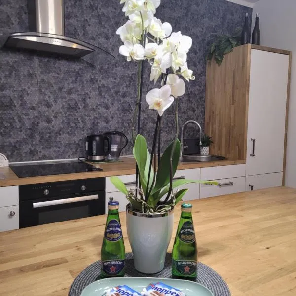 Apartament Pod Orzechem, hotel in Bydgoszcz