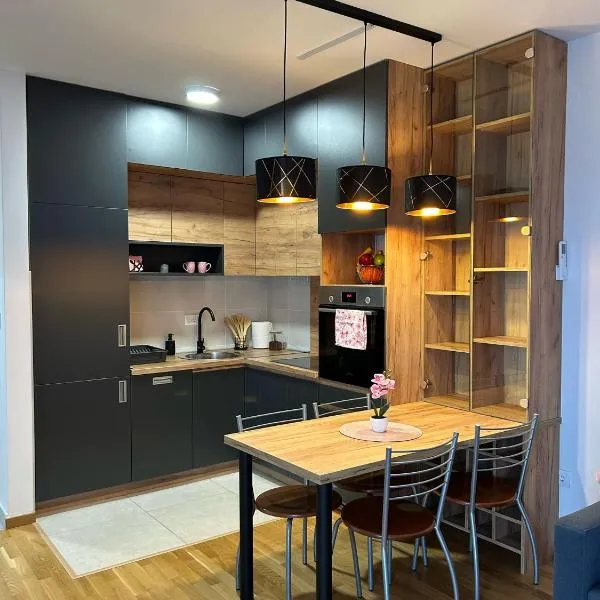 Apartman NS FREE PARKING, hotel in Novi Sad