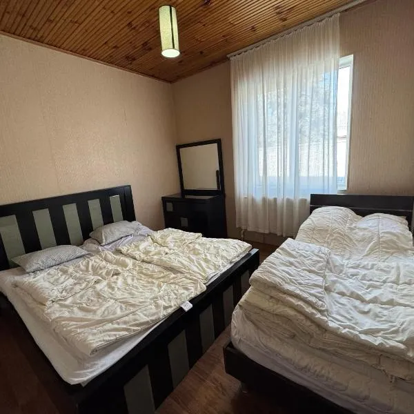 Home in Bakuriani, hotell sihtkohas Bakuriani