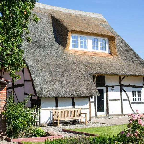 "Rosenscheune", hotel en Riepsdorf