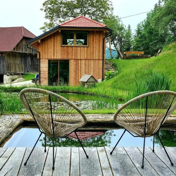 Studio Apartma2 pri Adamu, hotel in Mislinja