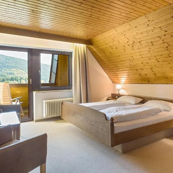 Drei Tannen - Wohnung 11 - Apartmenthaus, Titisee, Feldberg, hotel in Titisee