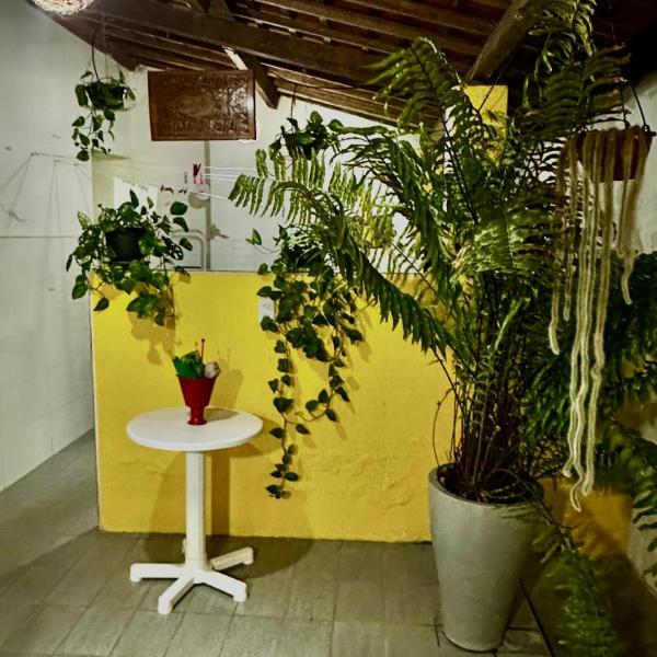 Casa de Vó com 3 quatros - Foto 4