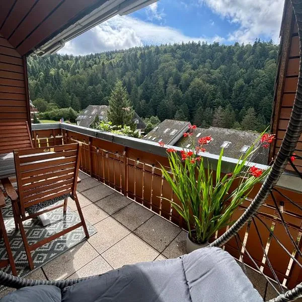 Feldberg Suite mit Balkon, hotel in Todtmoos
