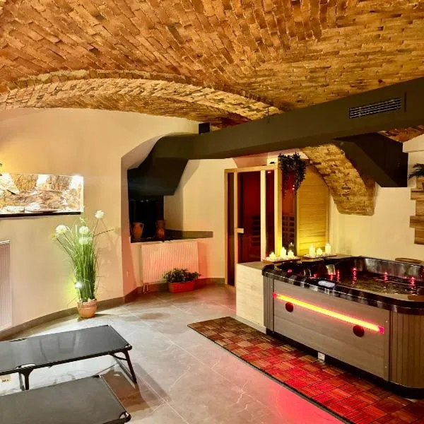Celje Spa Apartment, hotel v destinaci Celje