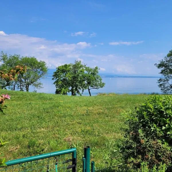 Appartement les pieds dans le Lac Léman, hotel ad Anthy