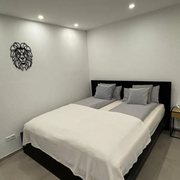 Lion Apartment Gaggenau - Bad Rotenfels, hotel v destinaci Gaggenau