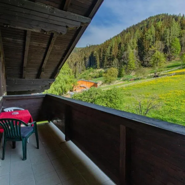 Huberhof 11 by Alpenidyll Apartments, готель у місті Шладмінг