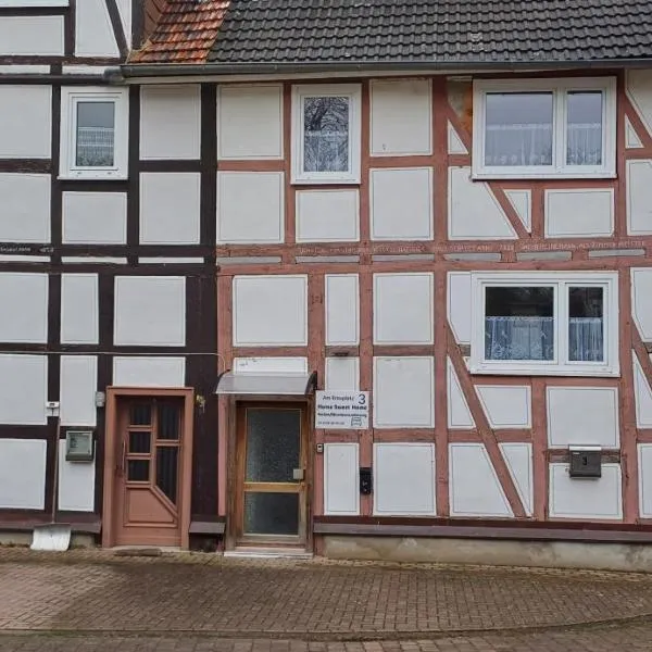 Wohnung 3 Tollgauer, hotel in Fritzlar