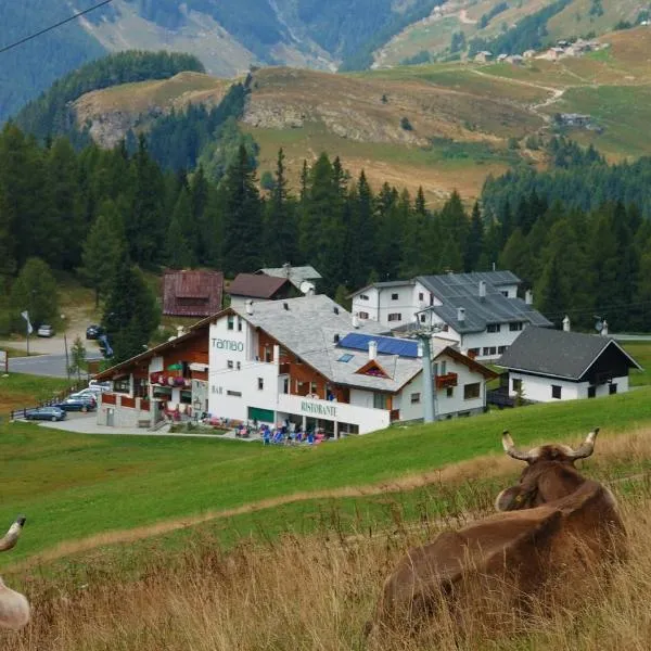 Hotel Tambò, ξενοδοχείο σε Campodolcino