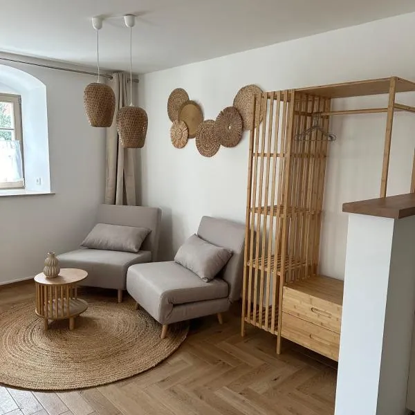 Altleubnitz 8、ドレスデンのホテル