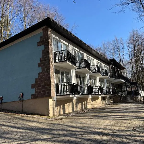 Penzión Modrý Dom, hotel v Modre