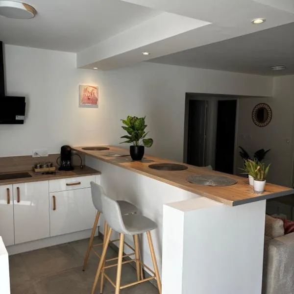 Charmant appartement 2 chambres, hotel en Givors