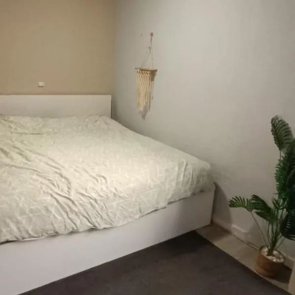 Muy bien, hotel San Javierben