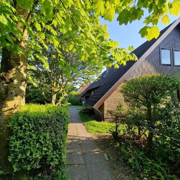 Wohnung Strandflieder, hotel in Spiekeroog