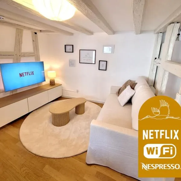 Cigogne Dorée - Strasbourg Centre Historique, hotel ve Štrasburku