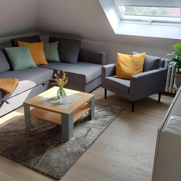 Schöne Ferienwohnung, viešbutis mieste Miunsteris