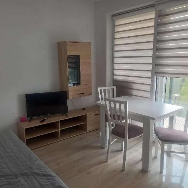 Tauzen Apartaments 24、カトヴィツェのホテル