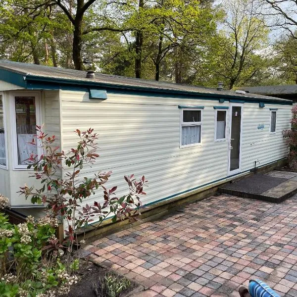Vintage Forest Chalet, hotel en IJhorst