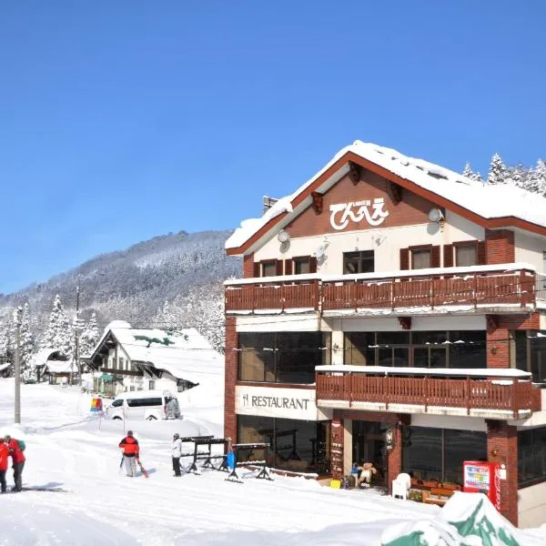 Lodge Denbey, hotel v destinaci Nozawa Onsen